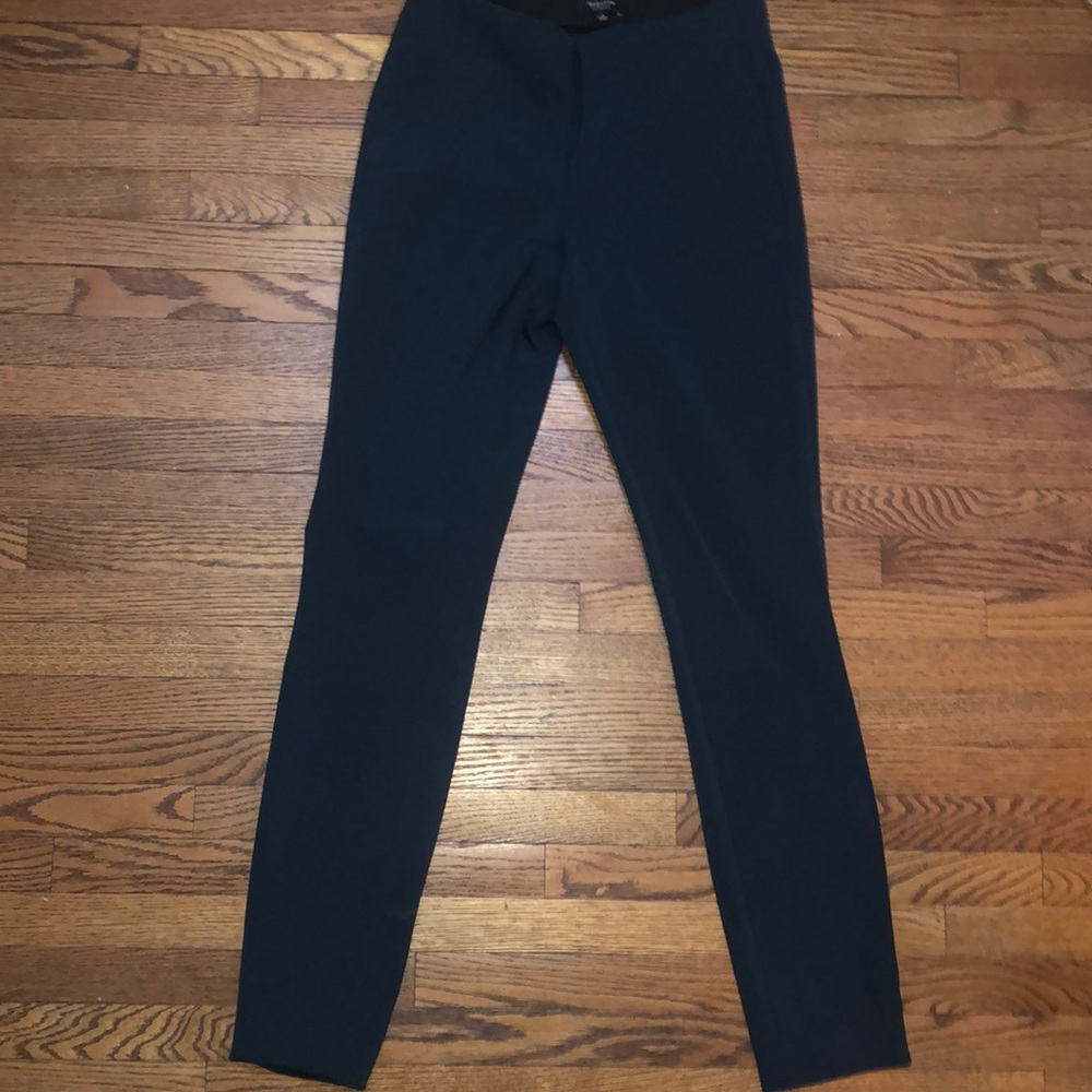 Aritzia Babaton Pants